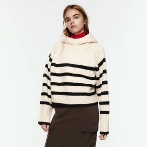 Zara sweater